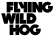 Flying Wild Hog