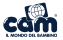 Cam